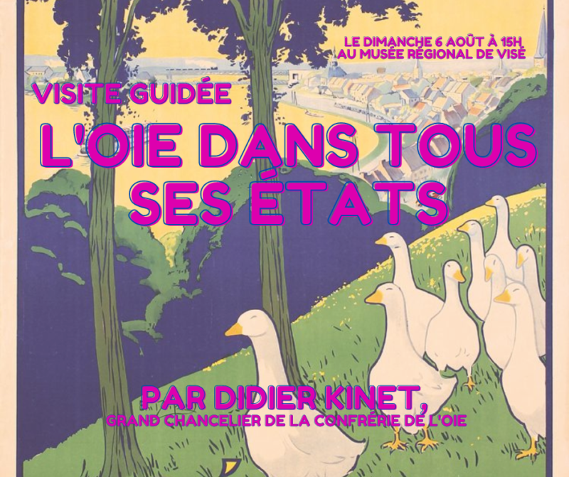 Visite Guidée Sur Le Thème Du Folklore Et De L’oie Par Didier Kinet